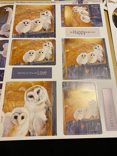 Pollyanna Pickering - Wild Birds - 12 Sheets Die Cut Toppers In 7 Designs - Picture 3 of 8