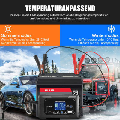 Batterie Ladegerät 12V-20A 24V-10A Lithium AGM GEL SLA LiFePO4 Reparatur (P20)