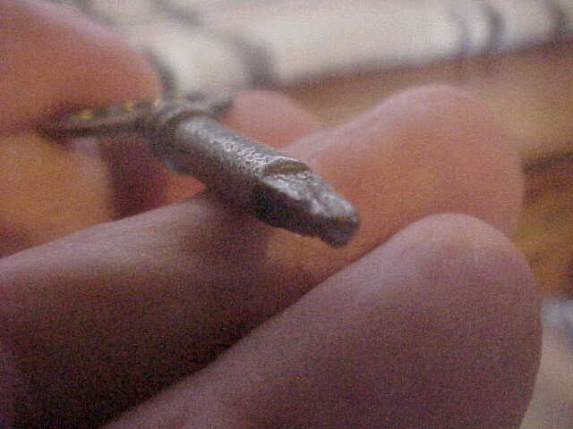 Picture 3 of 3