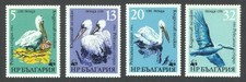 Bulgaria Sc# 3008-11, WWF - Birds - pelicans, VF MNH Set of 4 Stamps, No Faults
