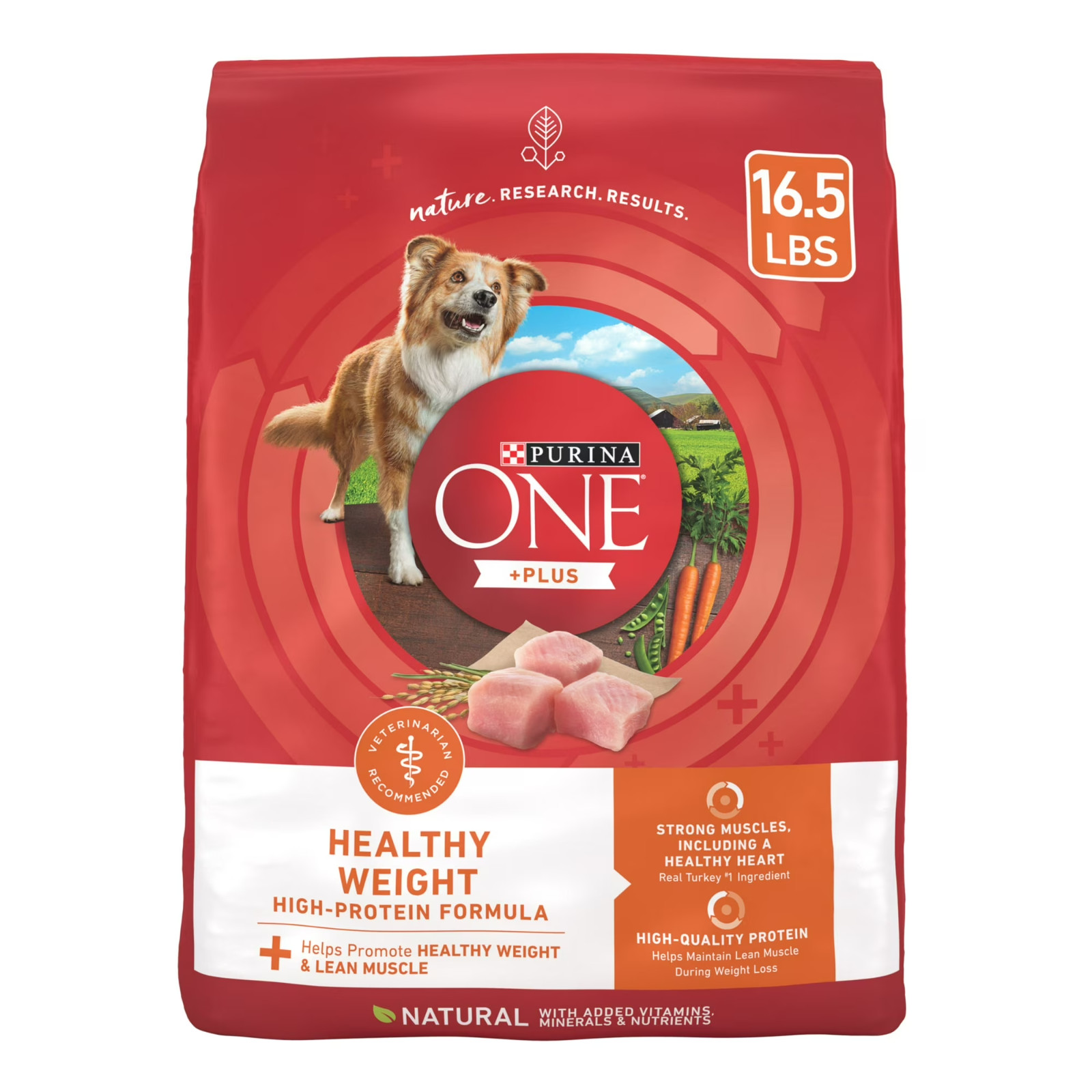 For Adults, High Protein