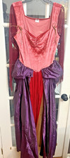 Disney Movie Sarah Sanderson Hocus Pocus Pink Burgundy Gold L Costume.  G
