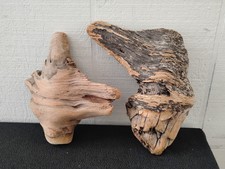 2 Pine Knots For Wood Carving
