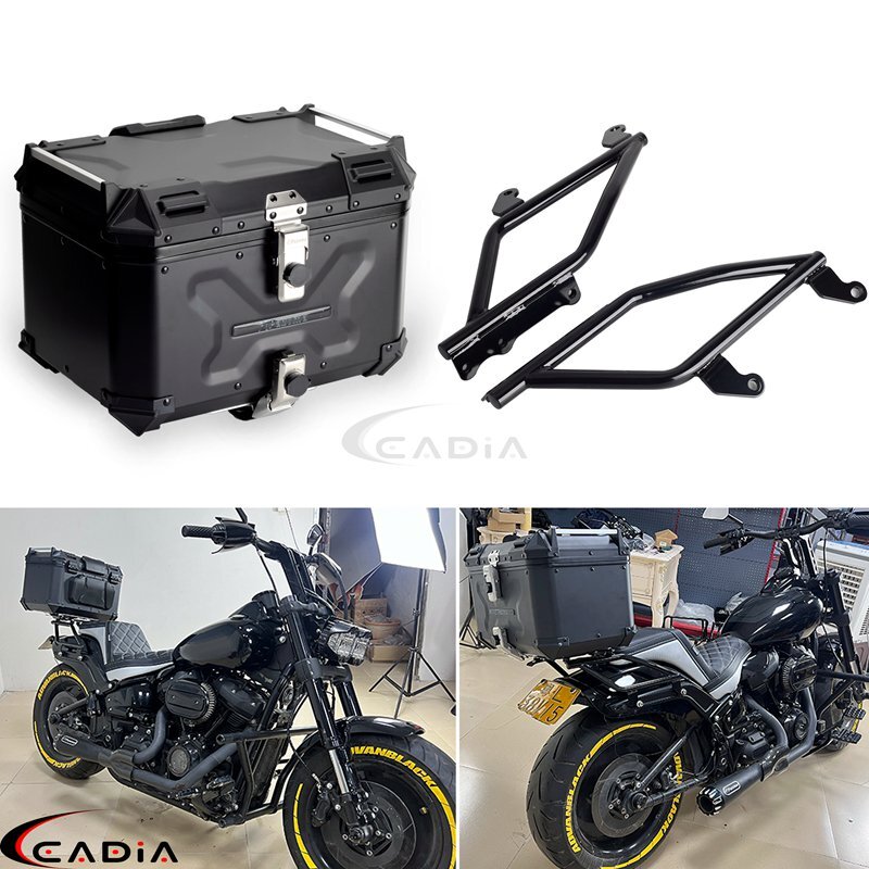 For Harley Low Rider ST FXLRST FXLRS FXLR 2018-2025 Luggage Case