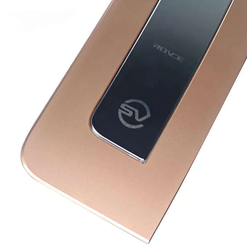 2Pc For Range Rover Vogue SV Style 2022-2024 Gold Door Side Fender Vent Grille — 第 4/4 张图片