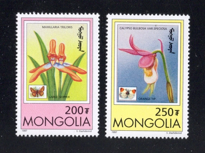 1997 MONGOLIA FLOWERS AND BUTTERFLIES SET OF 9 SC #2269-2277 MNH (F1333) - Image 3 of 4