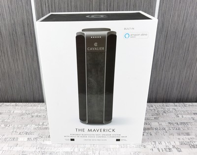 portable wifi speaker