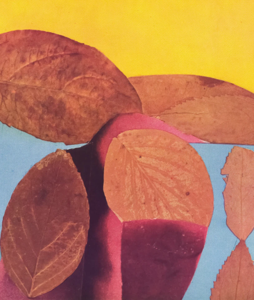 Josef Albers - "La interacción del color" XXV-2 derecha (hojas abstractas de otoño) Foto 3 de 4