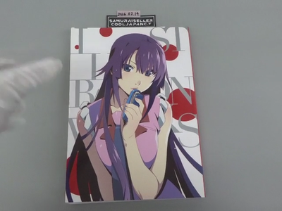 Bakemonogatari Animation 10th Anniversary Illustration Works Art