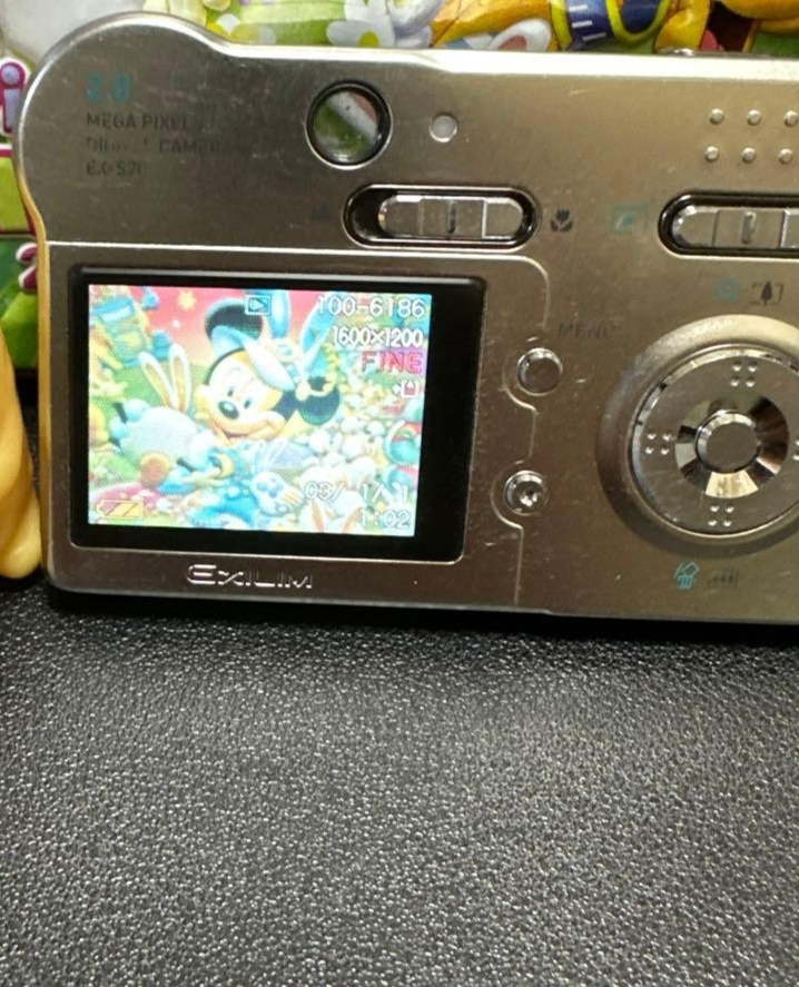 CASIO EXILIM EX-S20 Silver Compact Digital Camera From JAPAN | eBay