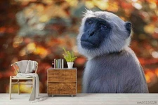 3D Monkey Self-adhesive Removeable Wallpaper Wall Mural 281