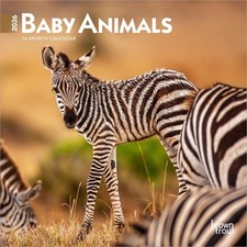 Baby Animals  2026 7 x 14 Inch Hanging Monthly Mini Wall Calendar  BrownTrou