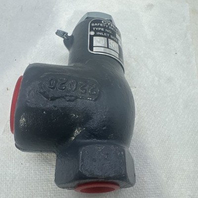 Cyrus Shank Type 813 Safety Relief Valve - 1/2'' x 1'' - 250 PSIG - 576 SCFM - NH3
