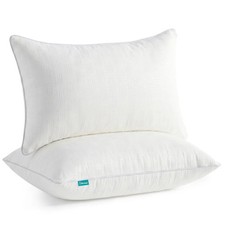 14x22 Inch Lumbar Pillow Inserts Set of 2, 14 22Inch, Beige...