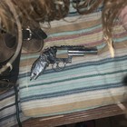 Revolver  — photo 3