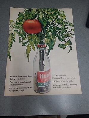Hunt's Tomato Catsup Ketchup Vintage Print Ad 1964 10x13 