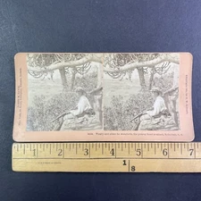 Child Soldier in Nelspruit South Africa Stereoview Antique c1901 Y14764