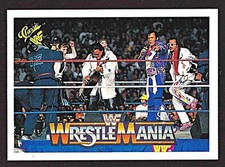 Rhythm & Blues  - 1990 Classic WWF  #139  (R2)