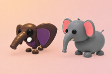 Bush Elephant | Elephant | NFR | Adopt