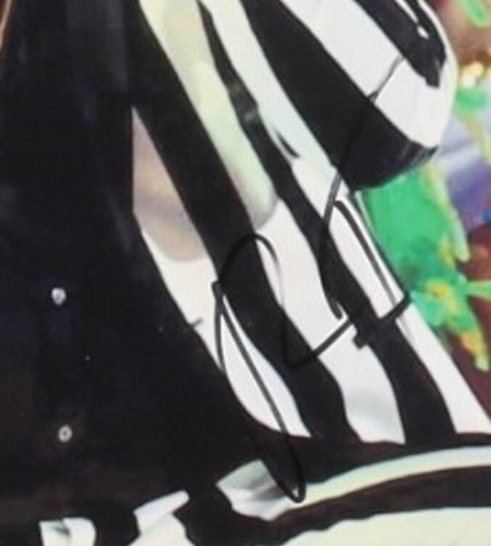 ROBIN THICKE-American Singer, Songwriter and Producer) Signed 11x17 Photo (ACOA) - Picture 2 of 5