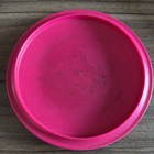 Frisbee Golf Disc 1991 PDGA National Doubles San Marino Climo & Greenwell Signed — photo 4