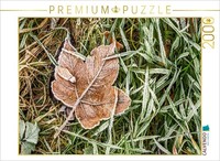 Calvendo Puzzle In The Meadow | 2000 Pieces, Finished Size 35.4 × 26.4 In (90 ×