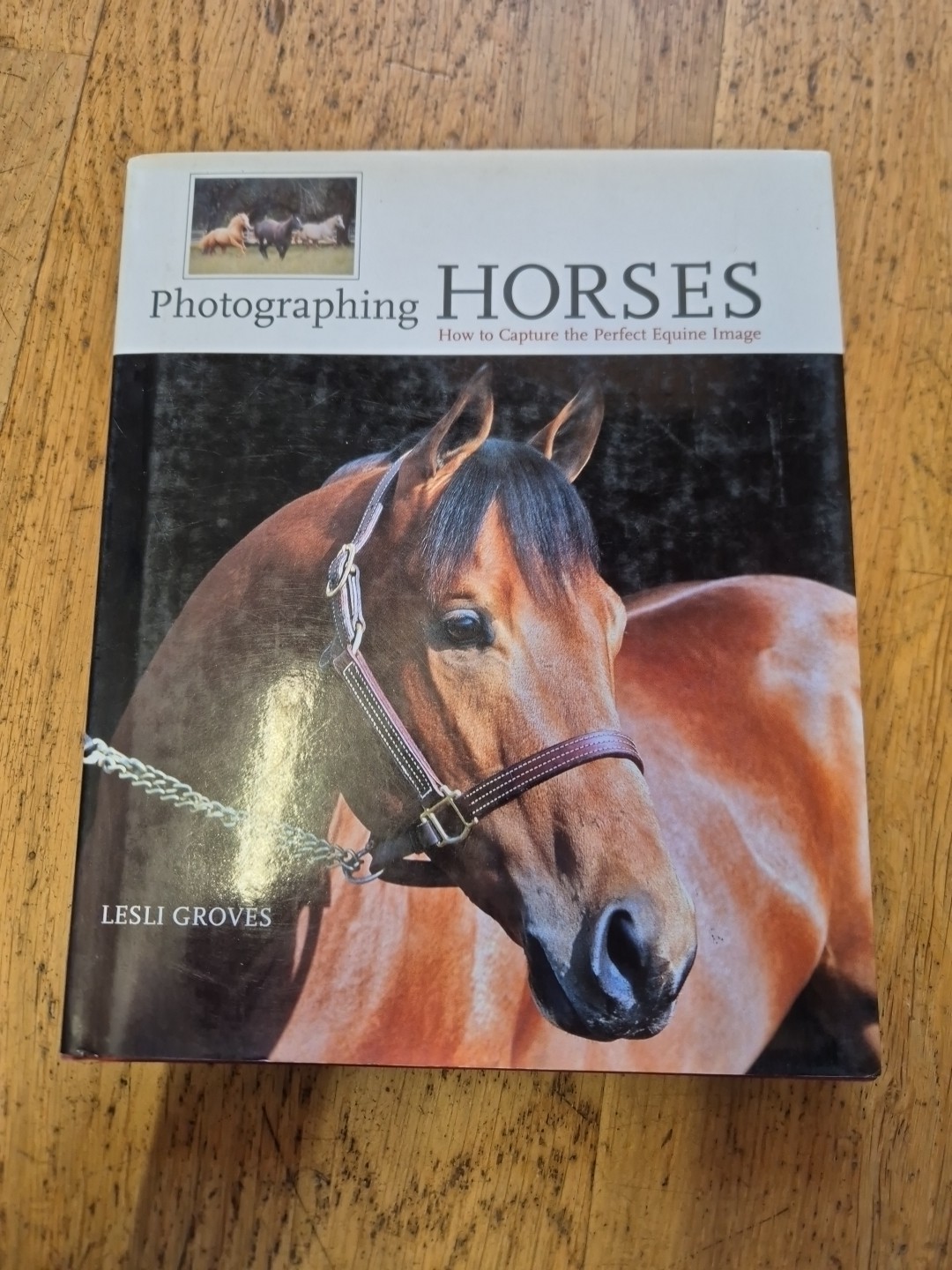 Photographing Horses: How to Capture the Perfect Equine Image Horse Photography