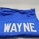 Reggie Wayne Indianapolis Colts Autographed Custom Football Jersey #87 JSA