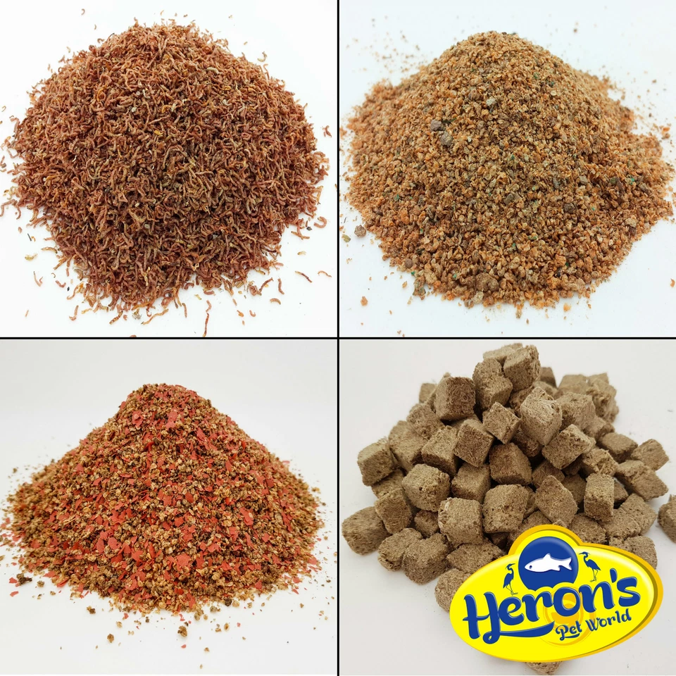HERONS Freeze Dried Bloodworm Larvae, Daphnia, Tubifex FISH FOOD Betta Guppy