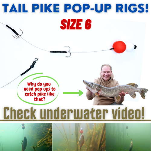 TAIL Size 6 Pop Up wire Trace Pike Fishing Dead Bait Rig CHECK VIDEO
