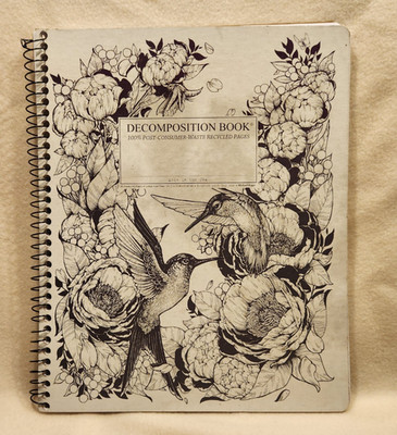 Decomposition Michael Roger Notebook, Hummingbirds, 80 Sheets, College Ruled