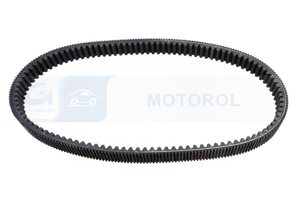 Fits DAYCO PASKI HPX5022 DRIVE BELT