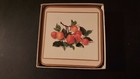 Used Vintage Pimpernel Set of 5 COASTERS Fruit Design Cork 4"x4" — photo 6