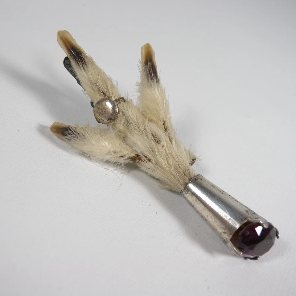 ANTICA SPILLA DA KILT SCOZZESE CELTICA ARGENTO AMETISTA ZAMPA GALLO CEDRONE 1800 - Immagine 4 di 4