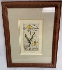 Vintage Signed Framed Barbara Coppock “Glacier Lilly” Etching  2005