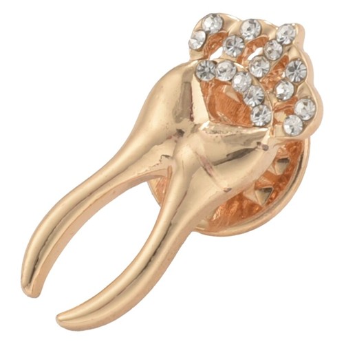 Broche alfiler de hadas de dientes de oro para dentista joyería insignias I Love My Tooth C6F8 194031015758 | eBay