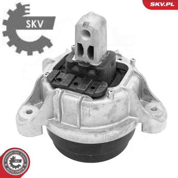 Esen SKV 75SKV249 Lagerung FüR Motor Motorlager Lagerung Motor FüR BMW-image