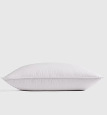 NWOT Quince LUXE King Pillow GOOSE Down MEDIUM FIRM Retail <div class=