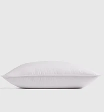 NWOT Quince LUXE King Pillow Goose Down Soft Medium