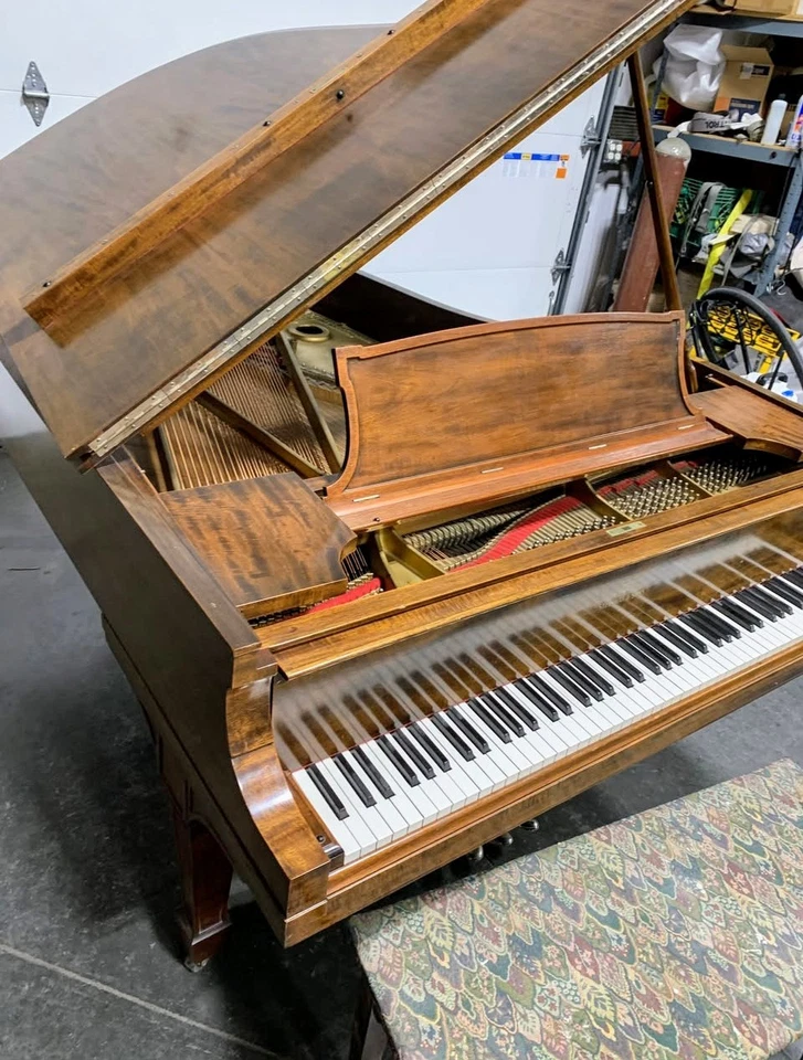 Piano de cola Steinway modelo A-3 6'4,5' reconstruido/unicornio raro  Foto 2 de 4