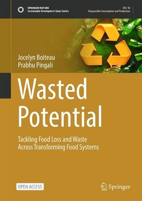 Wasted Potential - 9783031974106