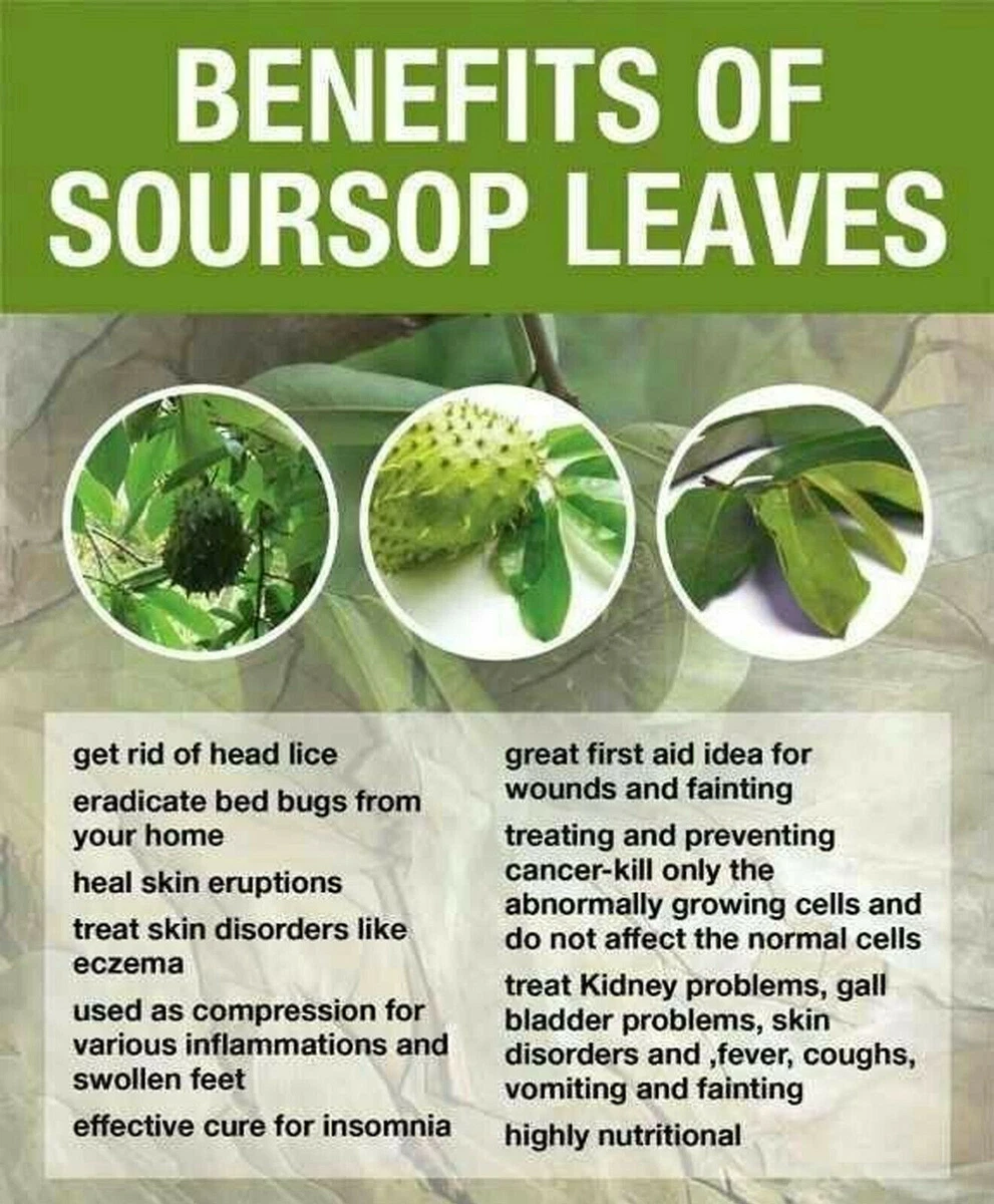 Soursop Cancer