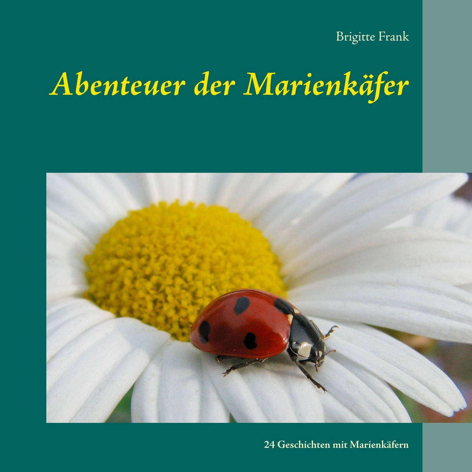 Thumbnail - Abenteuer Der Marienkäfer 24 Geschichten Mit Marienkäfern Brigitte