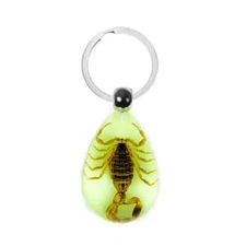 Glow in the Dark Key Chain Insect Scorpion Spider Wasp Hornet Beetle Cicada
