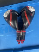 Sanabul Boxing Gloves