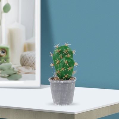 Artificial Cactus for Outdoors Simulation Succulent Large Fake Plants