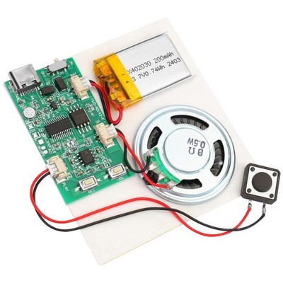 Programmable Sound Recorder Module - DIY Music Voice Recording 1pcs