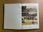 Foto 3 di 8