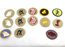 Mixed Lot  Boy Scout Patrol Patches - Viper, Buffalo, Chief, Eagle, Frog, Pedro