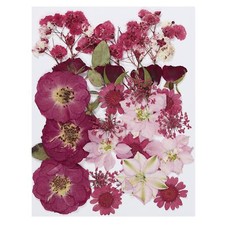 Dried Pressed Flowers Natural Dried Flower Leave Assorted Real Pressed Flower...